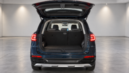 
										2025 Dongfeng T5 full									